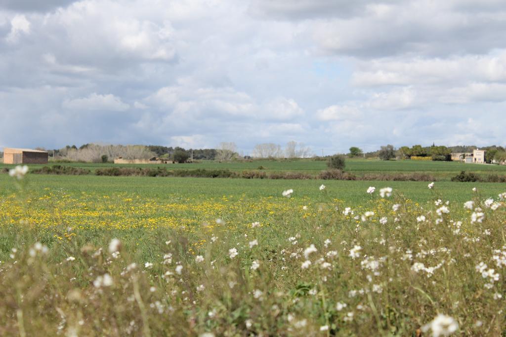 Allotjament Bora Bora Emporda Girona Appartement Verges Buitenkant foto